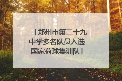 郑州市第二十九中学多名队员入选国家荷球集训队