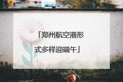郑州航空港形式多样迎端午