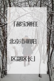 郝宝刚任北京市朝阳区副区长