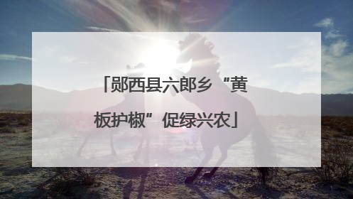 郧西县六郎乡“黄板护椒”促绿兴农