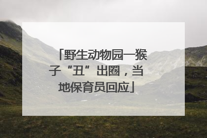 野生动物园一猴子“丑”出圈，当地保育员回应