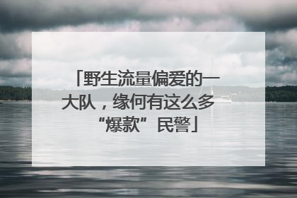 野生流量偏爱的一大队，缘何有这么多“爆款”民警