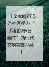 金家岭街道各社区举办“我们的节日·端午”新时代文明实践活动
