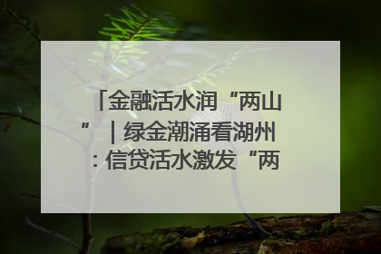 金融活水润“两山”｜绿金潮涌看湖州：信贷活水激发“两山”转化势能