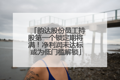 韵达股份员工持股第一个锁定期将满！净利润未达标或为低门槛解锁