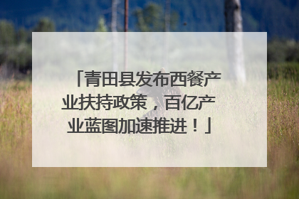 青田县发布西餐产业扶持政策，百亿产业蓝图加速推进！