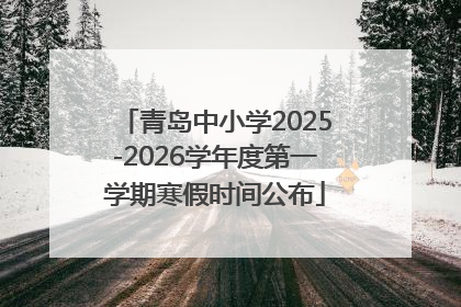 青岛中小学2025-2026学年度第一学期寒假时间公布