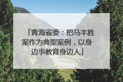 青海省委：把马丰胜案作为典型案例，以身边事教育身边人