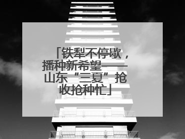 铁犁不停歇，播种新希望——山东“三夏”抢收抢种忙