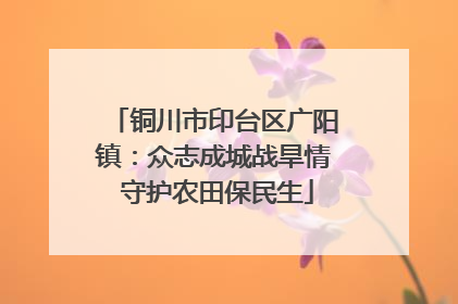 铜川市印台区广阳镇：众志成城战旱情 守护农田保民生