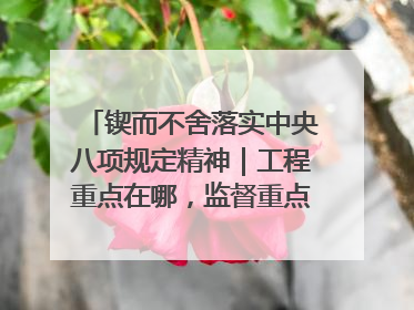 锲而不舍落实中央八项规定精神｜工程重点在哪，监督重点就在哪——广西深化政治监督护航平陆运河建设