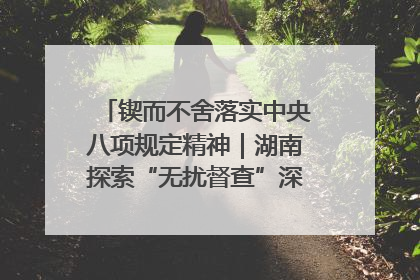 锲而不舍落实中央八项规定精神｜湖南探索“无扰督查”深化基层减负