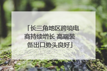 长三角地区跨境电商持续增长 高端装备出口势头良好