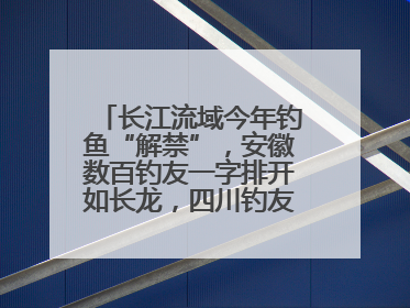 长江流域今年钓鱼“解禁”，安徽数百钓友一字排开如长龙，四川钓友称像过节