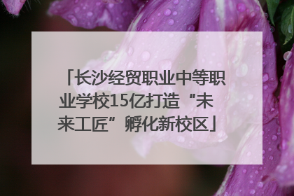 长沙经贸职业中等职业学校15亿打造“未来工匠”孵化新校区