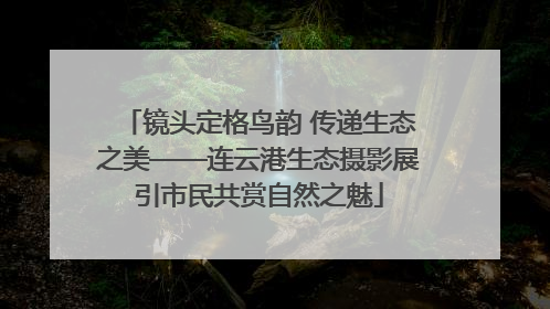 镜头定格鸟韵 传递生态之美——连云港生态摄影展引市民共赏自然之魅