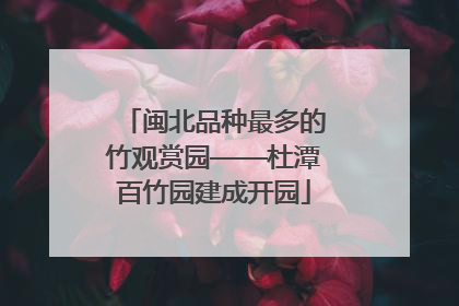闽北品种最多的竹观赏园——杜潭百竹园建成开园