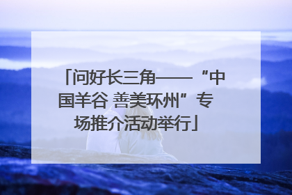 问好长三角——“中国羊谷 善美环州”专场推介活动举行