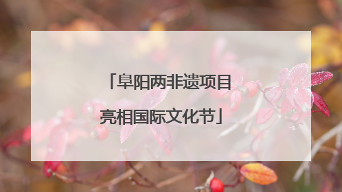阜阳两非遗项目亮相国际文化节