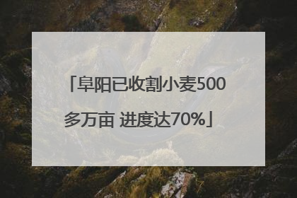 阜阳已收割小麦500多万亩 进度达70%