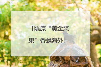 陇原“黄金浆果”香飘海外