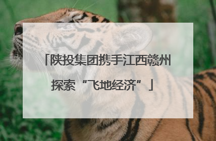 陕投集团携手江西赣州 探索“飞地经济”