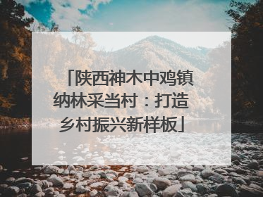陕西神木中鸡镇纳林采当村：打造乡村振兴新样板