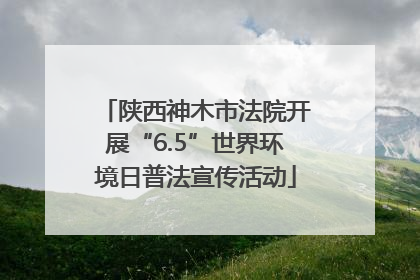 陕西神木市法院开展“6.5”世界环境日普法宣传活动