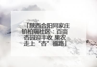 陕西合阳同家庄镇柏瑞社区：百亩杏园迎丰收 果农走上“杏”福路