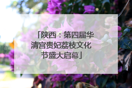 陕西：第四届华清宫贵妃荔枝文化节盛大启幕