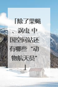除了果蝇、涡虫 中国空间站还有哪些“动物航天员”