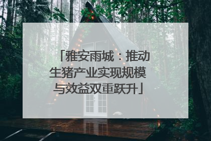 雅安雨城：推动生猪产业实现规模与效益双重跃升