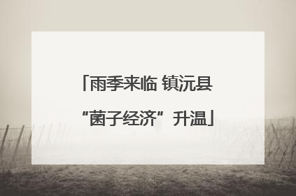 雨季来临 镇沅县“菌子经济”升温
