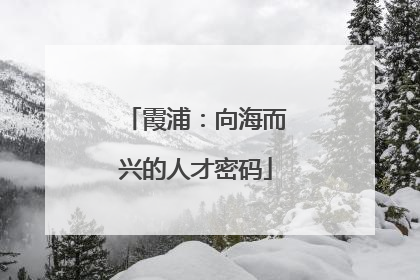 霞浦：向海而兴的人才密码