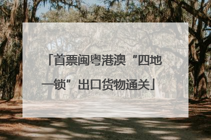 首票闽粤港澳“四地一锁”出口货物通关