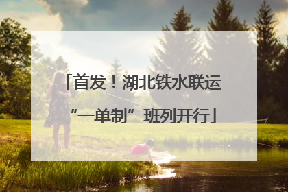首发！湖北铁水联运“一单制”班列开行