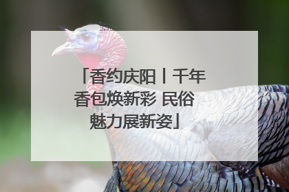 香约庆阳丨千年香包焕新彩 民俗魅力展新姿