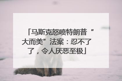 马斯克怒喷特朗普“大而美”法案：忍不了了，令人厌恶至极