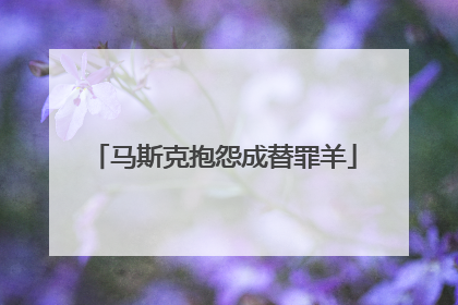 马斯克抱怨成替罪羊