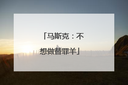 马斯克：不想做替罪羊