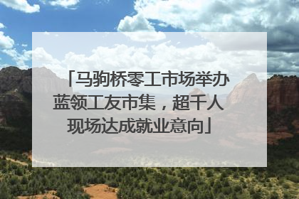 马驹桥零工市场举办蓝领工友市集，超千人现场达成就业意向