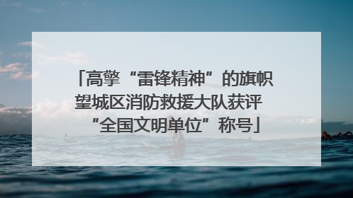 高擎“雷锋精神”的旗帜 望城区消防救援大队获评“全国文明单位”称号
