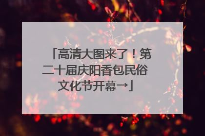 高清大图来了！第二十届庆阳香包民俗文化节开幕→