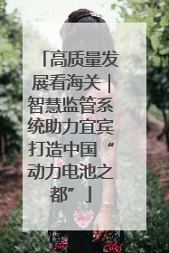 高质量发展看海关｜智慧监管系统助力宜宾打造中国“动力电池之都”