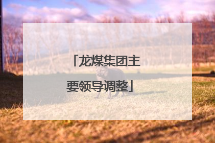 龙煤集团主要领导调整