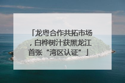 龙粤合作共拓市场，白桦树汁获黑龙江首张“湾区认证”