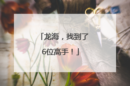 龙海,找到了6位高手!