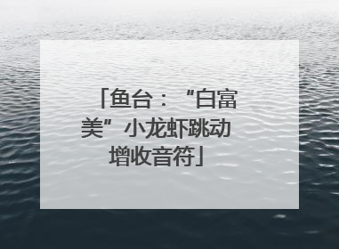 鱼台：“白富美”小龙虾跳动增收音符