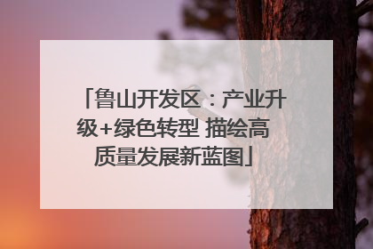 鲁山开发区：产业升级+绿色转型 描绘高质量发展新蓝图
