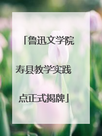 鲁迅文学院寿县教学实践点正式揭牌